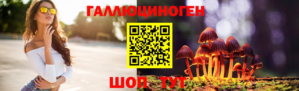 Выборг  Галлюциногенные грибы GOLDEN TEACHER  Вход с VPN 